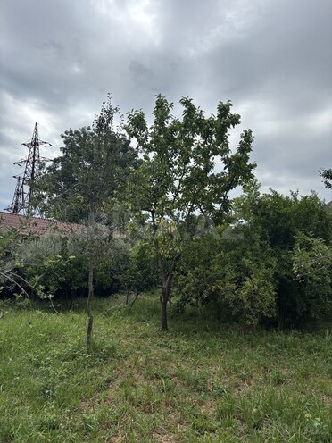 6-комн. дом/дача - Ленкорань - 350 м² (12)