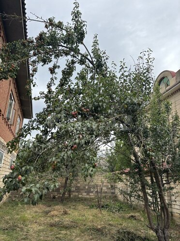 6-комн. дом/дача - Ленкорань - 350 м² (23)