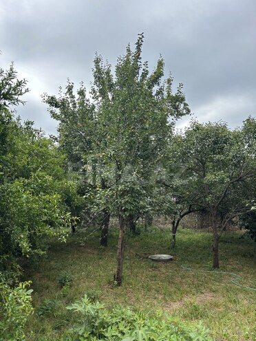6-комн. дом/дача - Ленкорань - 350 м² (10)