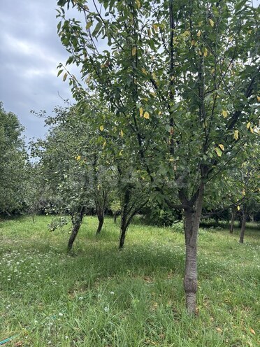 6-комн. дом/дача - Ленкорань - 350 м² (18)
