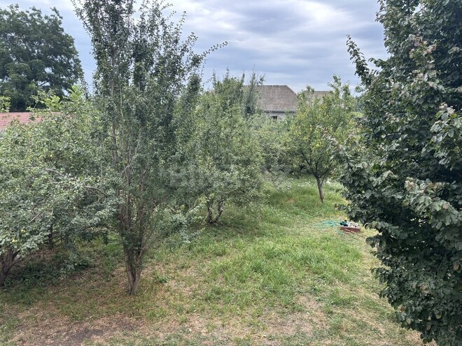 6-комн. дом/дача - Ленкорань - 350 м² (14)