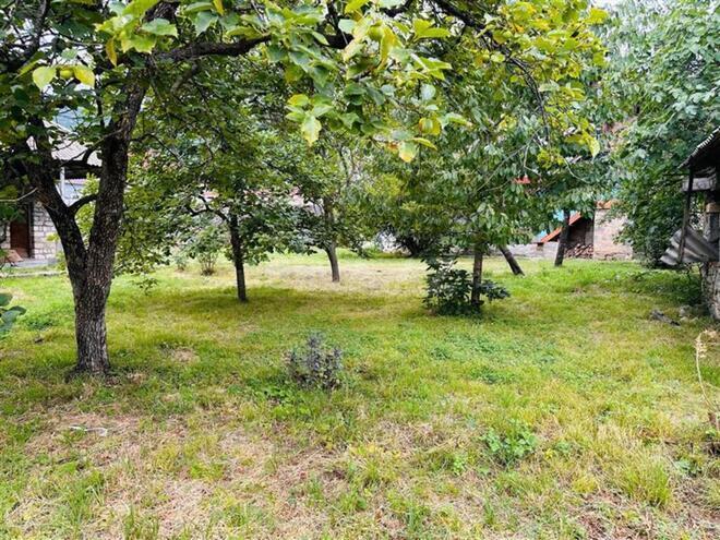 Участок - Огуз - 25 сот (6)