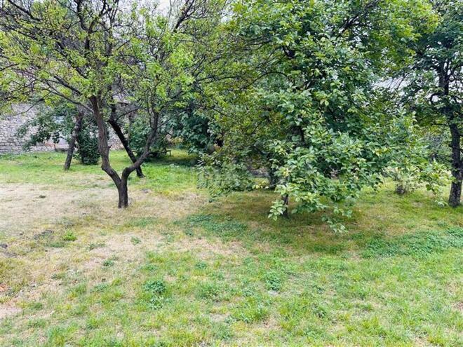 Участок - Огуз - 25 сот (1)