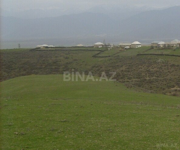Torpaq - İsmayıllı - 48 sot (2)