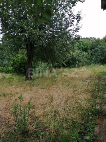 3-комн. дом/дача - Ленкорань - 1600 м² (7)