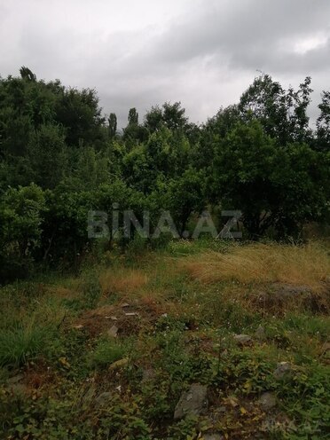 3-комн. дом/дача - Ленкорань - 1600 м² (3)