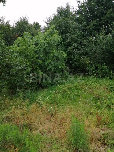 3-комн. дом/дача - Ленкорань - 1600 м² (8)