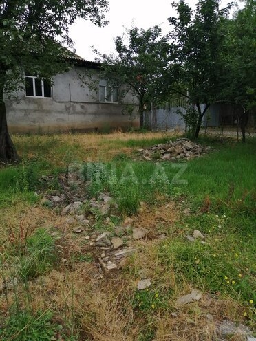 3-комн. дом/дача - Ленкорань - 1600 м² (4)
