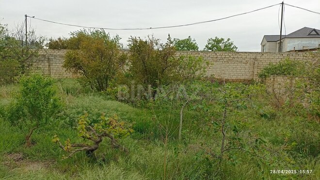 Torpaq - Sumqayıt - 4 sot (6)