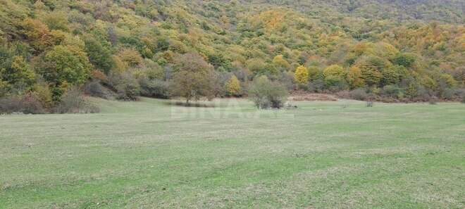 Torpaq - Oğuz - 200 sot (15)