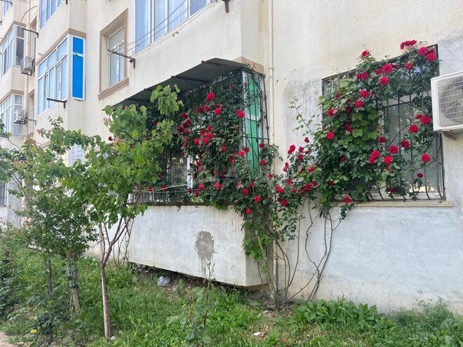 2 otaqlı köhnə tikili - Masazır q. - 46 m² (14)