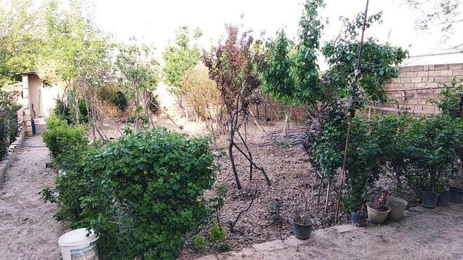 6 otaqlı həyət evi/bağ evi - Qobu q. - 220 m² (18)
