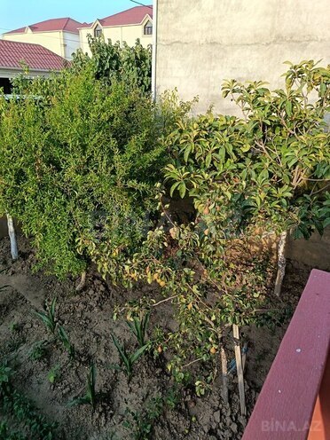 3 otaqlı həyət evi/bağ evi - Ramana q. - 90 m² (9)