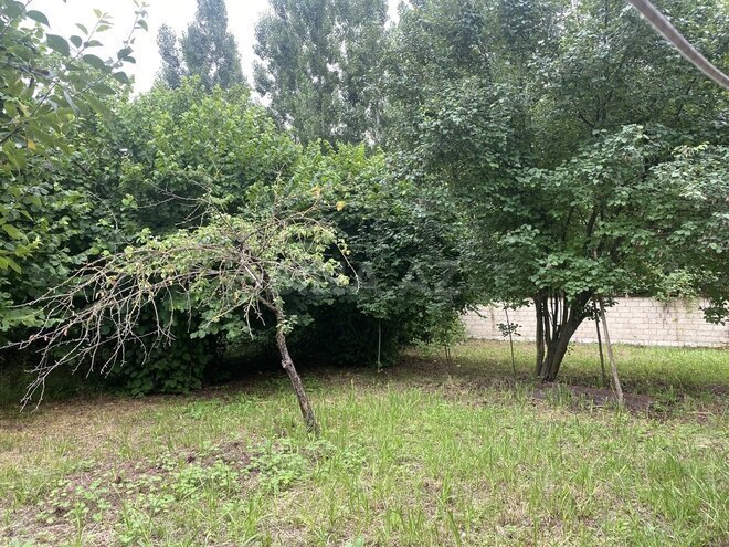 6-комн. дом/дача - Габала - 240 м² (8)