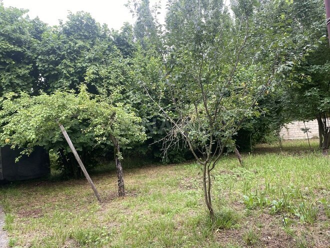 6-комн. дом/дача - Габала - 240 м² (7)