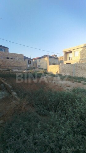 Torpaq - Badamdar q. - 2 sot (1)