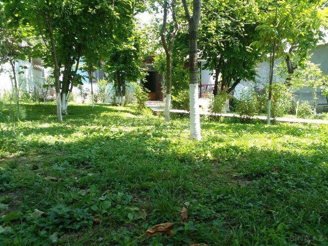 3 otaqlı həyət evi/bağ evi - Qəbələ - 140 m² (3)