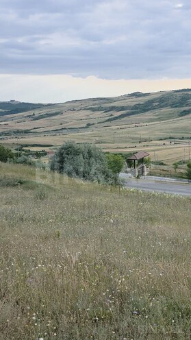 Torpaq - Şamaxı - 54 sot (16)