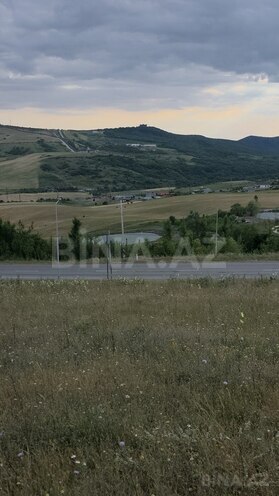 Torpaq - Şamaxı - 54 sot (20)