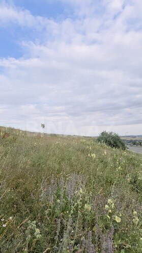 Torpaq - Şamaxı - 54 sot (7)