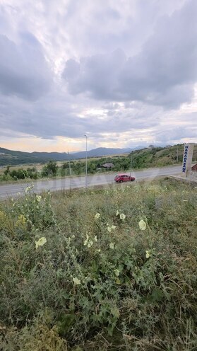 Torpaq - Şamaxı - 54 sot (3)