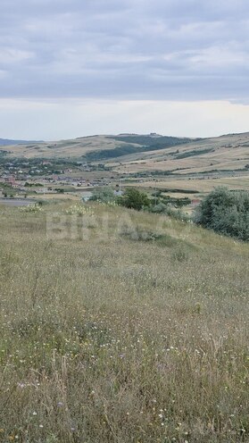 Torpaq - Şamaxı - 54 sot (17)