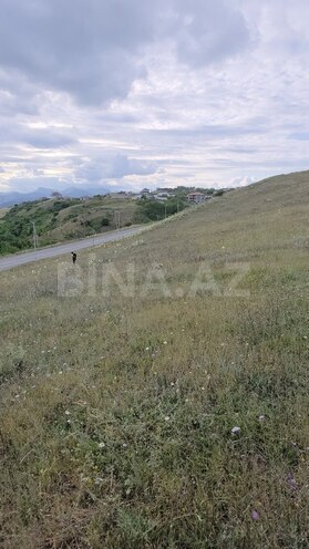 Torpaq - Şamaxı - 54 sot (14)