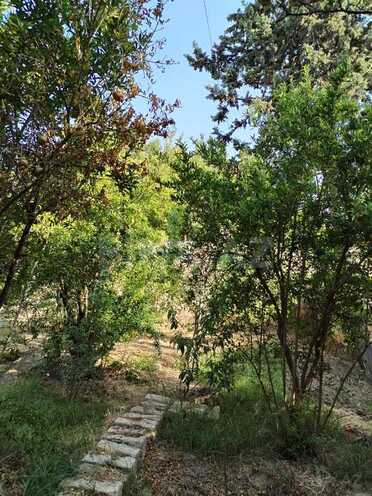 5 otaqlı həyət evi/bağ evi - Qobustan q. - 198.5 m² (8)