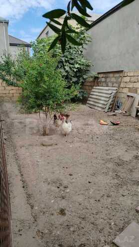 3 otaqlı həyət evi/bağ evi - Biləcəri q. - 100 m² (13)