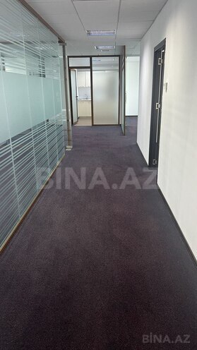 5-комн. офис - м. 8 ноября - 177 м² (8)