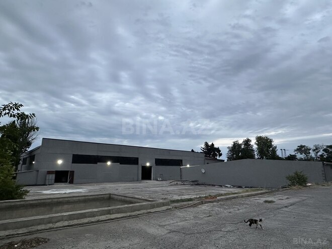Obyekt - Biləcəri q. - 4200 m² (1)