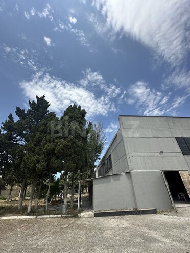 Obyekt - Biləcəri q. - 4200 m² (5)