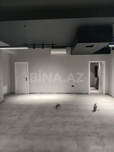 4-комн. офис - м. 28 мая - 265 м² (12)