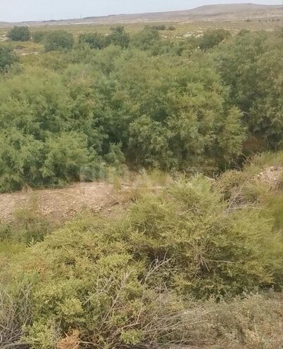 Torpaq - Aşağı Güzdək q. - 150 sot (3)