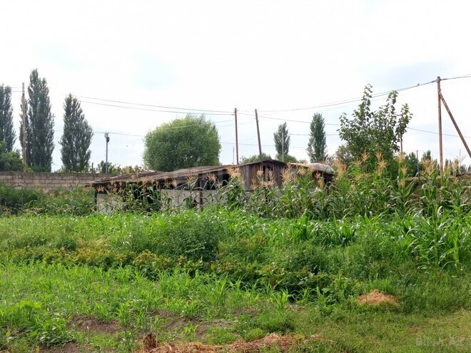 3-комн. дом/дача - Саатлы - 115 м² (6)