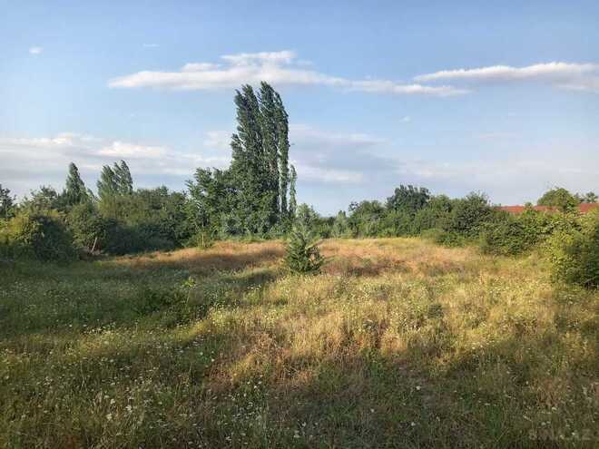 Satılır  torpaq 18 sot, photo 7 from 9