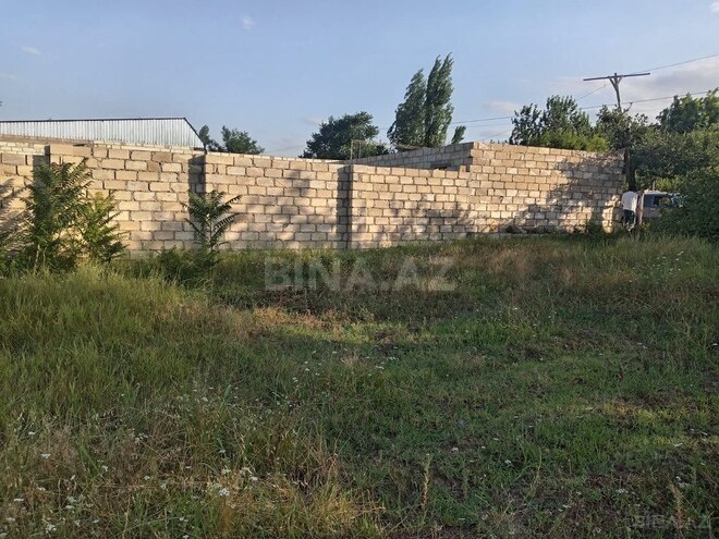 Участок - Товуз - 19 сот (11)