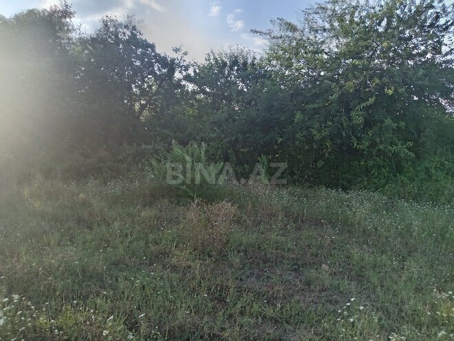 Участок - Товуз - 19 сот (2)