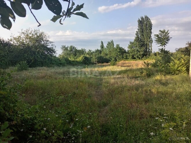 Участок - Товуз - 19 сот (1)