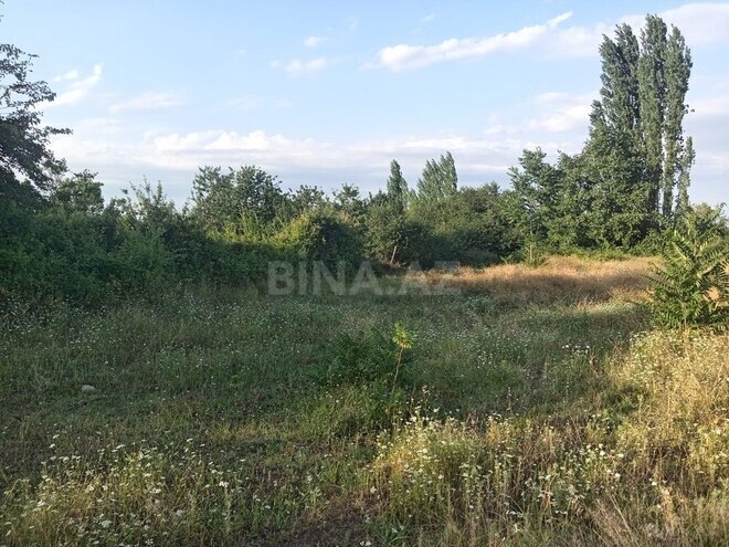 Участок - Товуз - 19 сот (7)