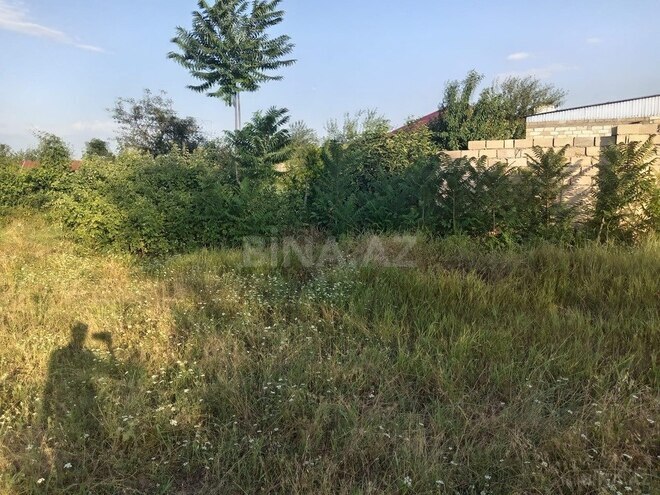 Участок - Товуз - 19 сот (9)