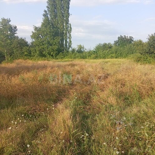 Участок - Товуз - 19 сот (10)