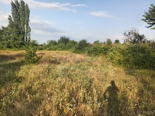 Участок - Товуз - 19 сот (8)
