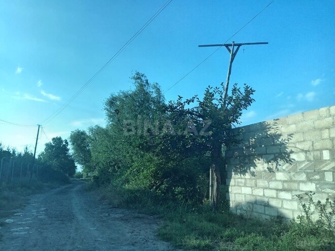 Участок - Товуз - 19 сот (13)