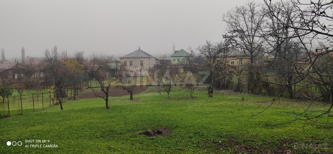 Участок - Губа - 12 сот (1)