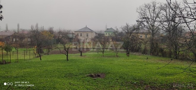 Участок - Губа - 12 сот (3)