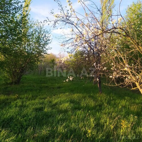 Участок - Исмаиллы - 11 сот (1)