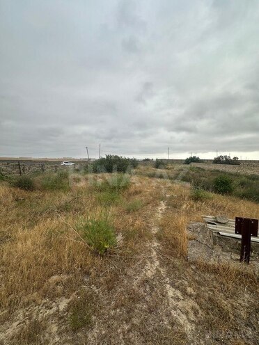 Продаётся  участок 25 сот, пос. Пиршаги, photo 3 from 5