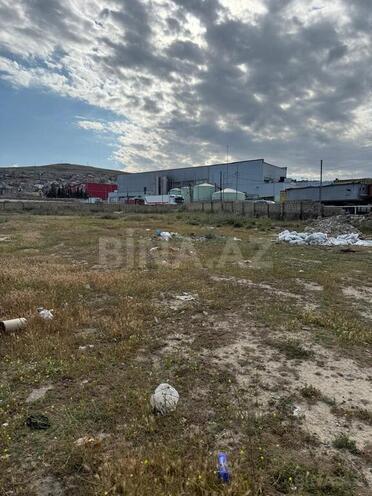 Участок - пос. Сулутепе - 400 сот (8)