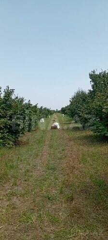 Участок - Худат - 120 сот (1)